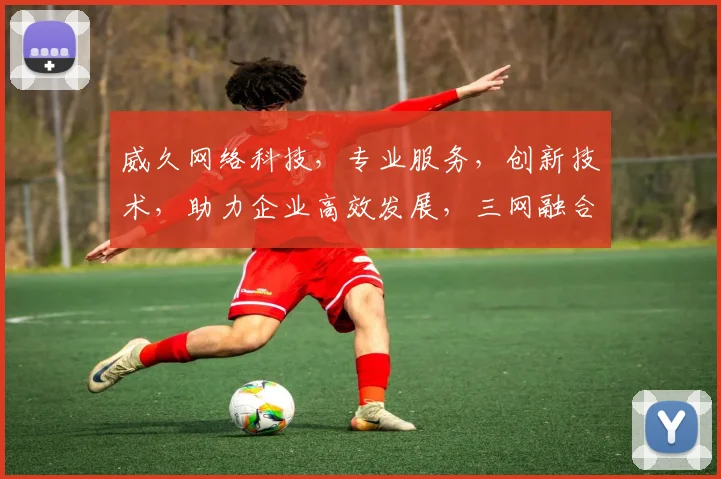 威久网络科技，专业服务，创新技术，助力企业高效发展，三网融合，智能升级，一站式解决方案