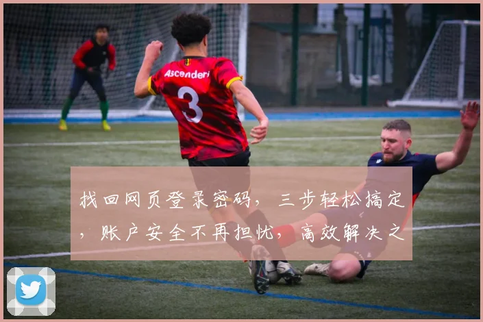 找回网页登录密码，三步轻松搞定，账户安全不再担忧，高效解决之道，快来看看吧