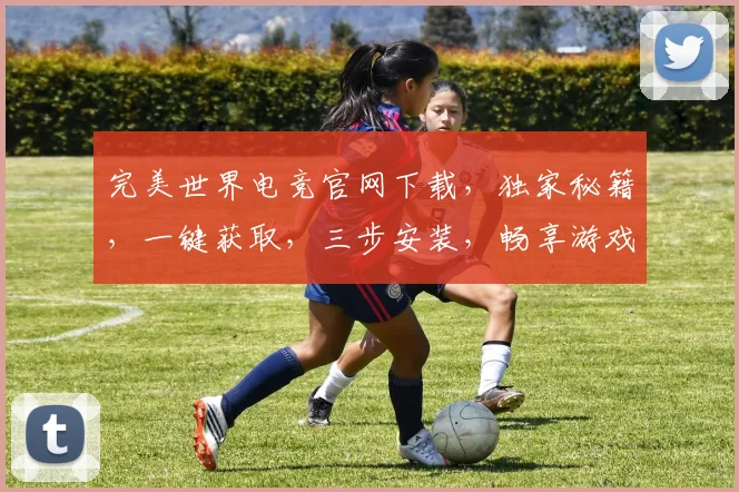 完美世界电竞官网下载，独家秘籍，一键获取，三步安装，畅享游戏盛宴