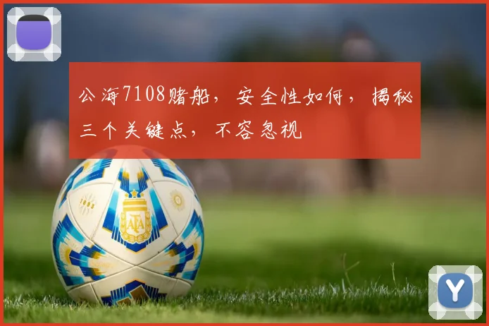 公海7108赌船，安全性如何，揭秘三个关键点，不容忽视
